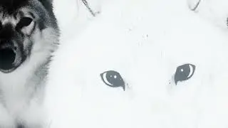 4K - cold wall
