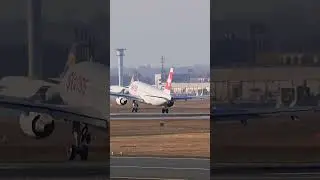 Excellent Top Plane Landing at Europe's Best Airport Frankfurt Germany 🇩🇪 #viral #fun #airport