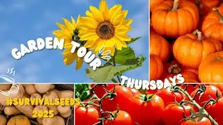 ASMR - GARDEN TOUR THURSDAYS 🍅 🥬 🎃 #survivalseeds2025