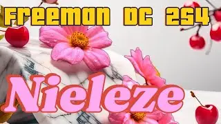 #DC254KE _Nieleze (Official Audio)