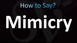 How to Pronounce Mimicry (CORRECTLY!)