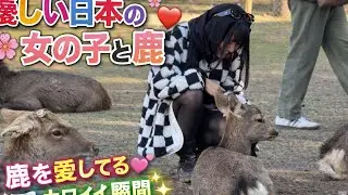 鹿と遊ぶ美しい少女🦌心温まる自然鹿への純粋な愛🦌❤️ 美しく穏やかな日本の生活