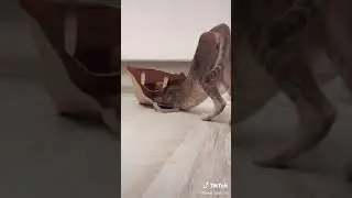 Mission impossible