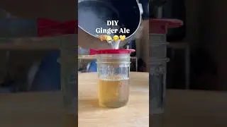 DIY Ginger Ale! 😋 #diy #ginger