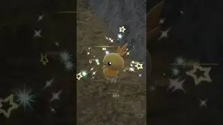 Shiny Torchic found in Pokemon Scarlet Indigo Disk! #pokemon #shinypokemon #indigodisk #shinyhunt