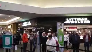 Flash Mob Ohio Valley Mall 2013