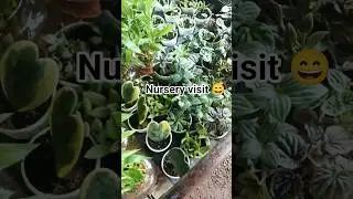 #nurseryvisit #viralyoutubeshorts #balconydesignideas #gardenplants #viral