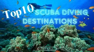 Top 10 Scuba Diving Destinations #scubadiving #underwater #bucketlist #coralreef
