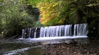 Stawell Mill Weir, River Tone, Somerset