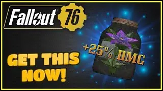Don't Miss This Limited Time Recipe! (+25% Damage) - Fallout 76