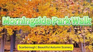 Autumn Walk in Morningside Park 🍁 | Beautiful Fall Colors in Scarborough 4K #TorontoFall #AutumnWalk