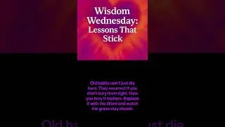 💚Wisdom Wednesday: Lessons That Stick