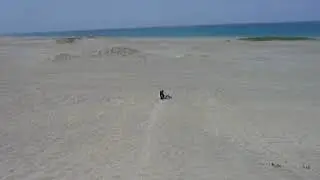 Sand Boarding for Beginners