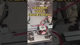 High Efficiency Automatic Carbon Brush Assembly Machine # Factory Demo # Repeat Customer Order