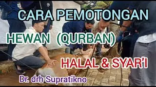 Dr. drh Supratikno. memotong / menyembelih hewan(qurban) yg halal sesuai syari'at Islam