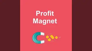 Profit Magnet