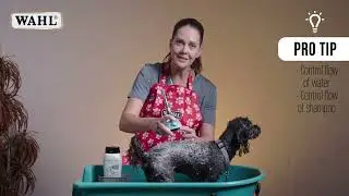 Massaging Dog Shower Head