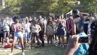 AfroPunkFest 2014