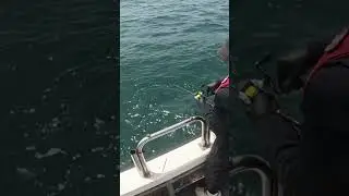 Sea fishing big fish oh my got catch a strong fish