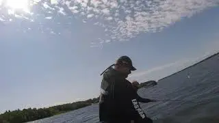 More footage of reeling in some monster  smallies on Lake Champlain!