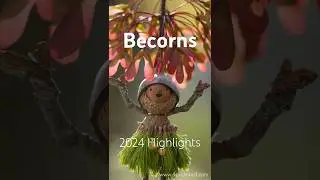 2024 Becorn Highlights