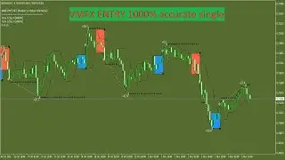 Best Forex Indicator Combinations VMFX ENTRY