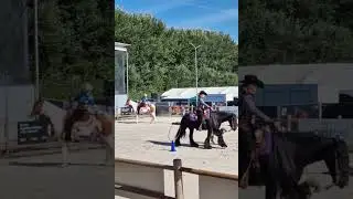 horse event 2025 clinics horse and dog trail. #horseanddog #horseevent #horseanddogtrail