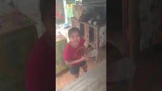 WATCH HOW I FIX AND REARRANGE OUR MINI-CHICKEN COOP TO MAKE IT SPACIOUS 