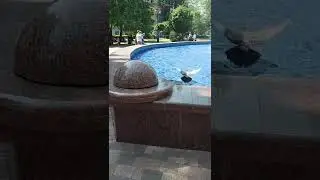 Фонтаны