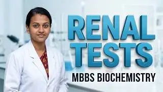 Биохимия (MBBS) - Введение в тесты функции почек