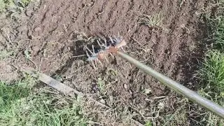 @Alotofmint, Cheap Manual Cultivator Tiller, Soil Treatment, light duty