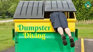 How to Dumpster Dive Legally? How to Dumpster Dive Without Getting Caught?