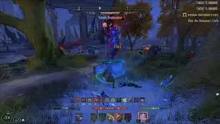 Eso - Unkillable Ice Tank