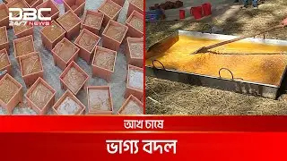 খাগড়াছড়িতে তৈরি হচ্ছে নির্ভেজাল আখের গুড় | DBC News Special