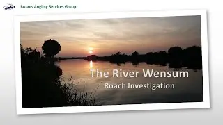 Investigation in to Wensum Roach