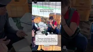 Pekerja Indonesia Bawa Oleh Oleh Brem Ke Jepang, Ternyata Orang Jepang Suka!! #trend #timnas #viral