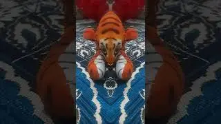 #shorts #tiger #youtubeshorts #mirror