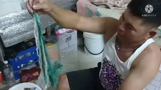 Paano gumawa ng pamain sa Blue marlin?