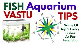 Vastu Tips For Fish Aquarium (Hindi)