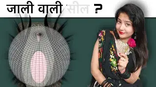 जालीदार  ? @studywithmeekta 