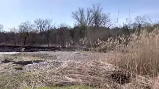 Mast Trail
