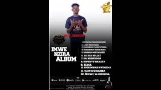 JAH SENIOR_-_PFUNGWA NENDANGARIRO Official audio (Imwe nzira Album)