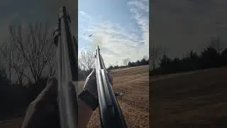 Birds Can Fly? #tooeasy #pheasanthunting #hunting #pheasant #birdhunting #fishing #youtubeshorts