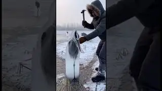 Frozen Wings! ❄️🪶 Saving a majestic Heron trapped in solid ice! 🔨🙏