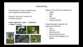 Cellandning