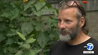 ABC7 Reports from NYC  INWOOD Butterfly Sanctuary about getting city to keep pesticides away