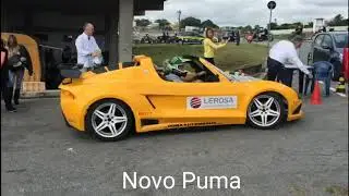 Novo Puma