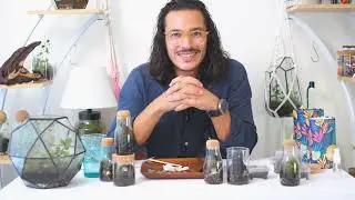New Mini Terrarium Tutorial