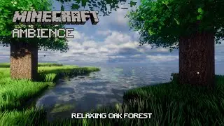 Minecraft Oak Forest 🌳 LIVE | Cinematic Ambience, Music & Dynamic Sky | Day & Night
