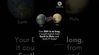 Do you know the size of your DNA #dna #size #sciencefacts